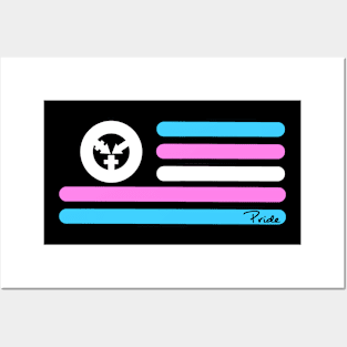 Trans Pride Flag Posters and Art